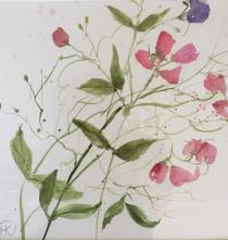 Pink sweetpeas and foliage against a white background